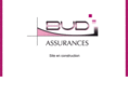 bud-assurances.com
