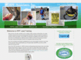 leadpaintawareness.com