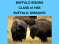 65bisons.com