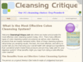 cleansingcritique.com