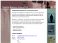 creativebusinessinnovations.com