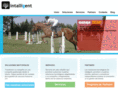 intalligent.com