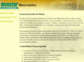 investorasesores.com