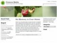 kinexusmedia.com