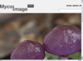 mycoimage.com