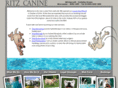 swimming-dog.com