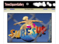 timessquaregallery.com