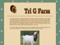 tri-g-farm.com