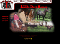 laddsdarkhorses.com