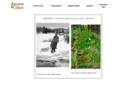 lorrainegilbert.com