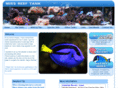 missreeftank.net