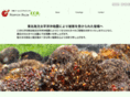 nipponpalm.com