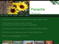 panacheartist.com