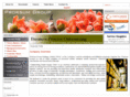 prorsumgroup.com