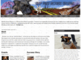reddirtboxerrescue.com