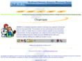 seamsolution.net