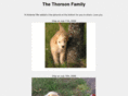 thorsons.org