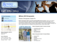 bowerschiropracticcenterpc.com