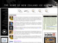 nzicehockey.co.nz