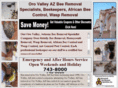 orovalleyazbeeremoval.com