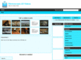 s3dvids.com