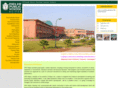 dpsraipur.com