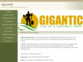 giganticcleanups.com