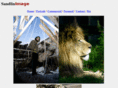 sandlinimage.com