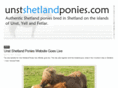 unstshetlandponies.com