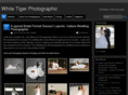whitetigerphotographic.com