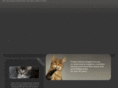 fredonanimalhospital.com
