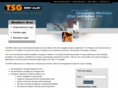 tsgemriaudit.com