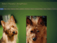 irishwolfhound-dogazine.com