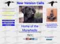 newversioncalls.com