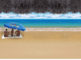 vallarta-express.com
