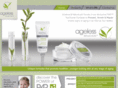 ageless-reflection.com