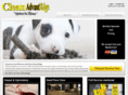 cleanadvantedge.com