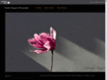 jenniferruggierogallery.com