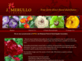 jmerulloimports.com