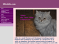 lilfoxkits.com