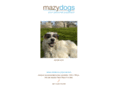 mazydogs.com