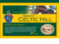 celtic-hill.com