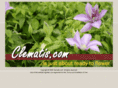 clematis.com