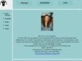 helsemassage.com