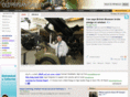 oldpersiangallery.com