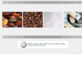 roundearthcapital.com