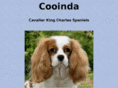 cooindacavaliers.com