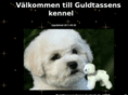 guldtassens.com