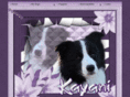 kayanibordercollies.com