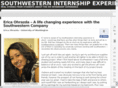 mysouthwesternsummer.com